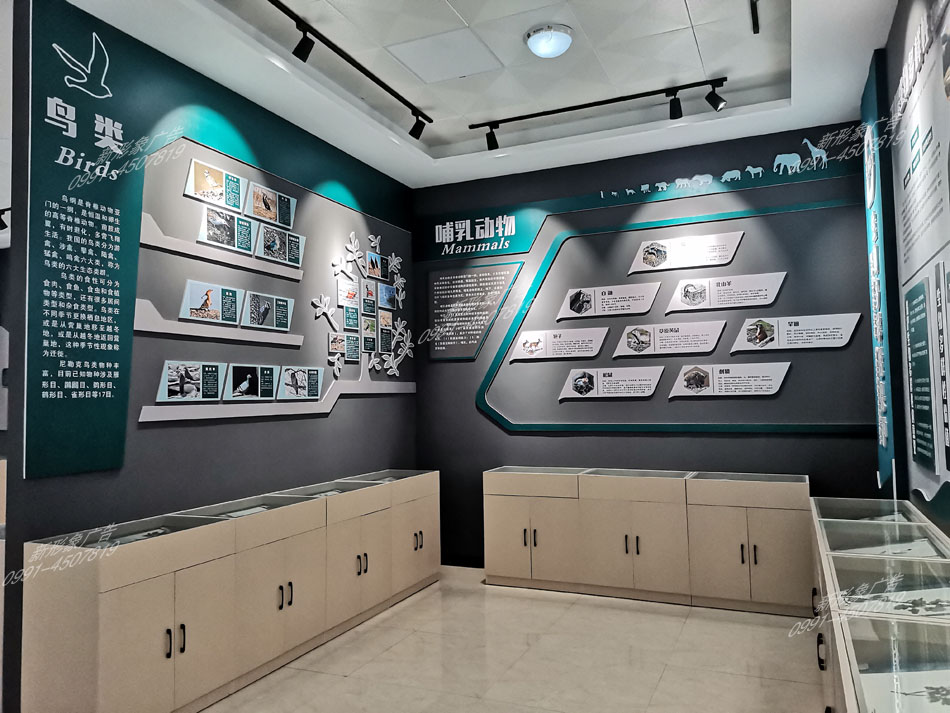 研學館鳥類、哺乳動物展廳設計制作